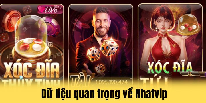 Nhatvip - Không gian cược hoàn hảo với mức thưởng lớn 2 Nhatvip trở thành cái tên nổi bật trong ngành giải trí