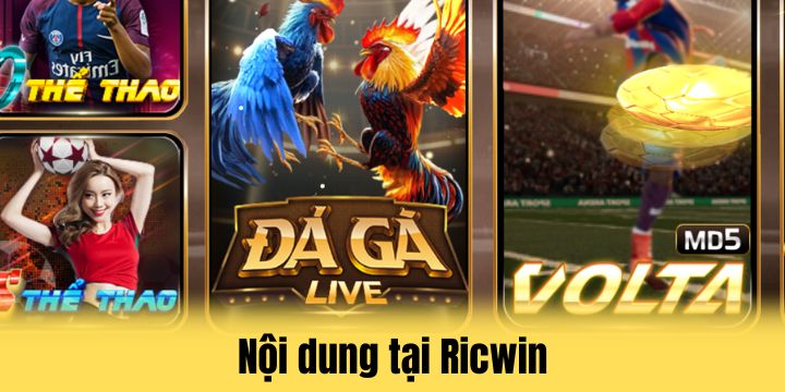 Ricwin - Tận hưởng sòng cá cược tài xỉu đẳng cấp châu Á 4 Tính năng giúp Ricwin thêm hoàn thiện